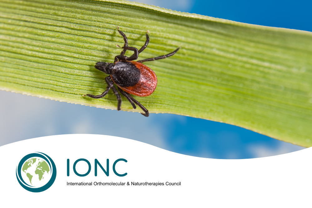 Wellness During Tick Season Wellness During Tick Season